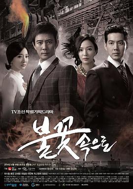 沈阳和平网站优化多少钱